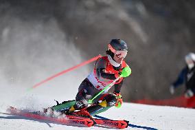 (BEIJING2022)CHINA-BEIJING-OLYMPIC WINTER GAMES-ALPINE SKIING-MEN'S SLALOM (CN)