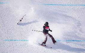 (XHTP)(BEIJING2022)CHINA-ZHANGJIAKOU-OLYMPIC WINTER GAMES-FREESTYLE SKIING-WOMEN'S FREESKI SLOPESTYLE-FINAL (CN)