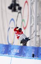 Beijing Olympics: Freestyle Skiing