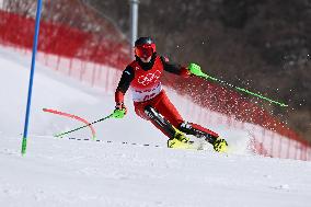 (BEIJING2022)CHINA-BEIJING-OLYMPIC WINTER GAMES-ALPINE SKIING-MEN'S SLALOM (CN)