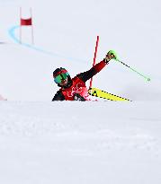 (BEIJING2022)CHINA-BEIJING-OLYMPIC WINTER GAMES-ALPINE SKIING-MEN'S SLALOM (CN)