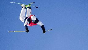 (BEIJING2022)CHINA-ZHANGJIAKOU-OLYMPIC WINTER GAMES-FREESTYLE SKIING-MEN'S FREESKI SLOPESTYLE-FINAL (CN)