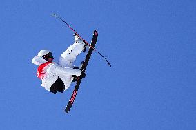 (BEIJING2022)CHINA-ZHANGJIAKOU-OLYMPIC WINTER GAMES-FREESTYLE SKIING-MEN'S FREESKI SLOPESTYLE-FINAL (CN)