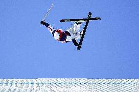 (BEIJING2022)CHINA-ZHANGJIAKOU-OLYMPIC WINTER GAMES-FREESTYLE SKIING-MEN'S FREESKI SLOPESTYLE-FINAL (CN)