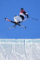 (BEIJING2022)CHINA-ZHANGJIAKOU-OLYMPIC WINTER GAMES-FREESTYLE SKIING-MEN'S FREESKI SLOPESTYLE-FINAL (CN)