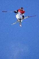 (BEIJING2022)CHINA-ZHANGJIAKOU-OLYMPIC WINTER GAMES-FREESTYLE SKIING-MEN'S FREESKI SLOPESTYLE-FINAL (CN)