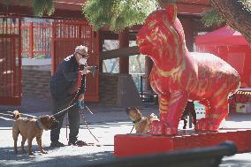 U.S.-SAN FRANCISCO-TIGER-SHAPED-SCULPTURE