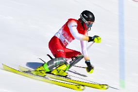 (BEIJING2022)CHINA-BEIJING-OLYMPIC WINTER GAMES-ALPINE SKIING-MEN'S SLALOM (CN)