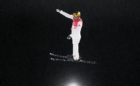 (BEIJING2022) CHINA-ZHANGJIAKOU-OLYMPIC WINTER GAMES-FREESTYLE SKIING-MEN'S AERIALS-FINAL (CN)