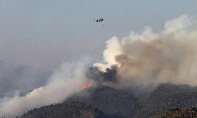 SOUTH KOREA-NORTH GYEONGSANG-FOREST FIRE