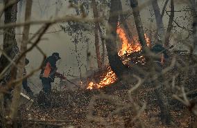 SOUTH KOREA-NORTH GYEONGSANG-FOREST FIRE