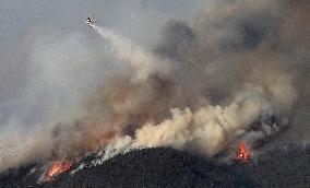 SOUTH KOREA-NORTH GYEONGSANG-FOREST FIRE