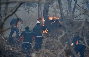 SOUTH KOREA-NORTH GYEONGSANG-FOREST FIRE