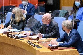 UN-ENVOY-SOMALIA-SECURITY COUNCIL-MEETING