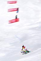 (BEIJING2022)CHINA-BEIJING-OLYMPIC WINTER GAMES-ALPINE SKIING-MEN'S SLALOM (CN)