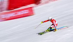 (BEIJING2022)CHINA-BEIJING-OLYMPIC WINTER GAMES-ALPINE SKIING-MEN'S SLALOM (CN)