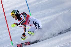 (BEIJING2022)CHINA-BEIJING-OLYMPIC WINTER GAMES-ALPINE SKIING-MEN'S SLALOM (CN)