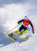 (BEIJING2022)CHINA-BEIJING-OLYMPIC WINTER GAMES-ALPINE SKIING-MEN'S SLALOM (CN)