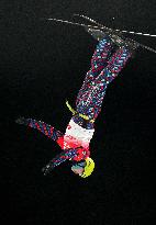 (BEIJING2022) CHINA-ZHANGJIAKOU-OLYMPIC WINTER GAMES-FREESTYLE SKIING-MEN'S AERIALS-FINAL (CN)