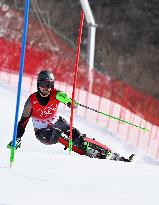 (BEIJING2022)CHINA-BEIJING-OLYMPIC WINTER GAMES-ALPINE SKIING-MEN'S SLALOM (CN)