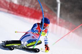 (BEIJING2022)CHINA-BEIJING-OLYMPIC WINTER GAMES-ALPINE SKIING-MEN'S SLALOM (CN)