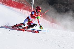 (BEIJING2022)CHINA-BEIJING-OLYMPIC WINTER GAMES-ALPINE SKIING-MEN'S SLALOM (CN)