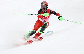 (BEIJING2022)CHINA-BEIJING-OLYMPIC WINTER GAMES-ALPINE SKIING-WOMEN'S ALPINE COMBINED (CN)