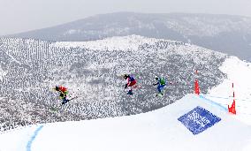 (BEIJING2022) CHINA-ZHANGJIAKOU-OLYMPIC WINTER GAMES-FREESTYLE SKIING-WOMEN'S SKI CROSS (CN)