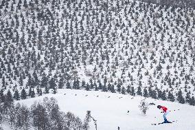 (BEIJING2022) CHINA-ZHANGJIAKOU-OLYMPIC WINTER GAMES-FREESTYLE SKIING-WOMEN'S SKI CROSS (CN)