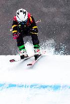 (BEIJING2022)CHINA-ZHANGJIAKOU-OLYMPIC WINTER GAMES-FREESTYLE SKIING-WOMEN'S SKI CROSS SEEDING (CN)