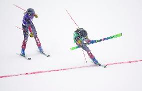 (BEIJING2022) CHINA-ZHANGJIAKOU-OLYMPIC WINTER GAMES-FREESTYLE SKIING-WOMEN'S SKI CROSS (CN)