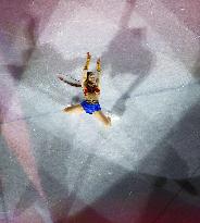 Beijing Olympics: Figure Skating