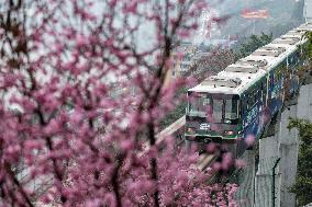 CHINA-CHONGQING-TRAIN-FLOWER (CN)