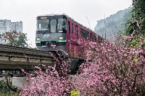 CHINA-CHONGQING-TRAIN-FLOWER (CN)