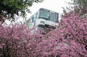 CHINA-CHONGQING-TRAIN-FLOWER (CN)