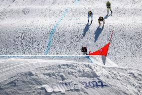 (BEIJING2022)CHINA-ZHANGJIAKOU-OLYMPIC WINTER GAMES-FREESTYLE SKIING-MEN'S SKI CROSS (CN)