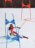 (BEIJING2022)CHINA-BEIJING-OLYMPIC WINTER GAMES-ALPINE SKIING-MIXED TEAM PARALLEL-FINAL (CN)
