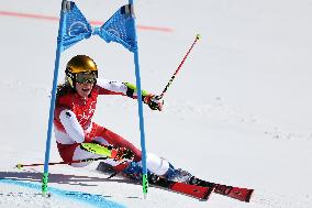 (XHTP)(BEIJING2022)CHINA-BEIJING-OLYMPIC WINTER GAMES-ALPINE SKIING-MIXED TEAM PARALLEL-FINAL (CN)