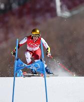 (BEIJING2022)CHINA-BEIJING-OLYMPIC WINTER GAMES-ALPINE SKIING-MIXED TEAM PARALLEL-FINAL(CN)