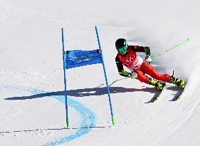 (XHTP)(BEIJING2022)CHINA-BEIJING-OLYMPIC WINTER GAMES-ALPINE SKIING-MIXED TEAM PARALLEL (CN)