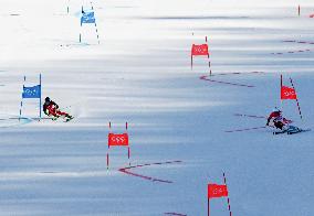 (BEIJING2022)CHINA-BEIJING-OLYMPIC WINTER GAMES-ALPINE SKIING-MIXED TEAM PARALLEL (CN)