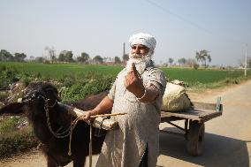 INDIA-PUNJAB-ASSEMBLY ELECTIONS