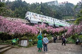 CHINA-CHONGQING-TRAIN-FLOWER (CN)