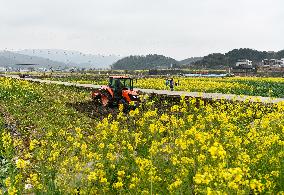 CHINA-GUIZHOU-SPRING FARMING (CN)