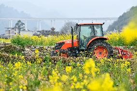 CHINA-GUIZHOU-SPRING FARMING (CN)