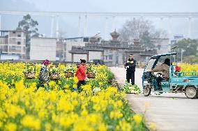 CHINA-GUIZHOU-SPRING FARMING (CN)