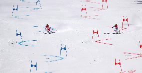 (XHTP)(BEIJING2022)CHINA-BEIJING-OLYMPIC WINTER GAMES-ALPINE SKIING-MIXED TEAM PARALLEL-FINAL (CN)
