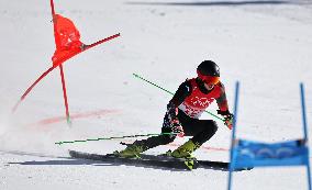 (BEIJING2022)CHINA-BEIJING-OLYMPIC WINTER GAMES-ALPINE SKIING-MIXED TEAM PARALLEL-1/8FINAL (CN)