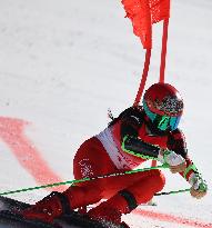 (BEIJING2022)CHINA-BEIJING-OLYMPIC WINTER GAMES-ALPINE SKIING-MIXED TEAM PARALLEL-1/8FINAL (CN)