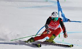 (BEIJING2022)CHINA-BEIJING-OLYMPIC WINTER GAMES-ALPINE SKIING-MIXED TEAM PARALLEL(CN)